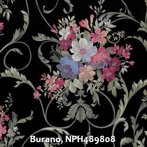Burano, NPH489808