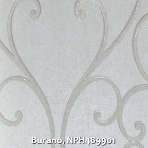Burano, NPH489901